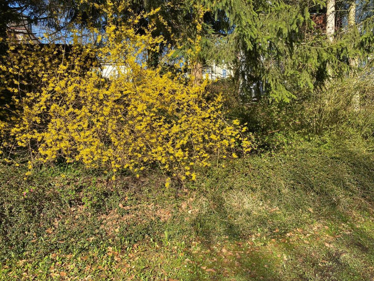 Ferienwohnung Sternenhimmel Lichtenberg  Luaran gambar